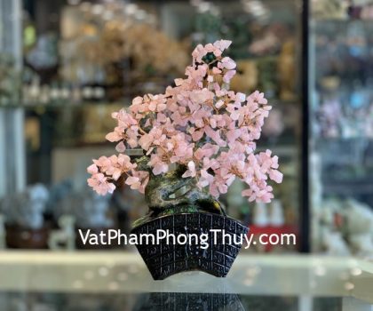 KC120-cay-thach-anh-hong-dang-bonsai