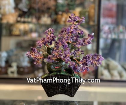 KC121-cay-thach-anh-tim-dang-bonsai