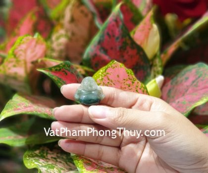 S6885-di-lac-phi-thuy