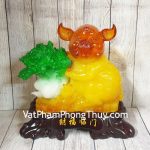 ln008-heo-vang-om-bap-cai-2