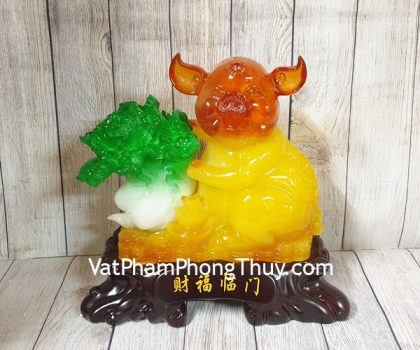 ln008-heo-vang-om-bap-cai-2