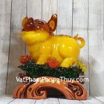 ln023-heo-cam-tren-may-2