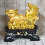 ln027-heo-vang-keo-cai-2