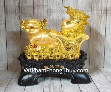 ln027-heo-vang-keo-cai-2