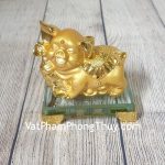 ln038-heo-vang-nhan-sam-2