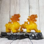 ln051-cap-ty-huu-vang-cam-2