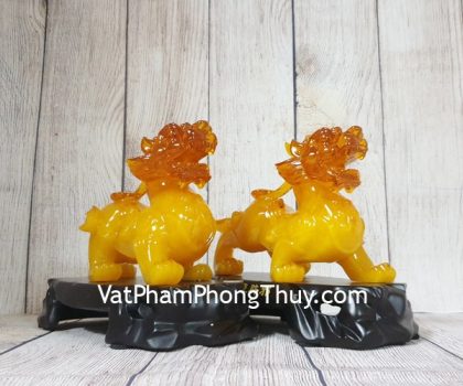 ln051-cap-ty-huu-vang-cam-2