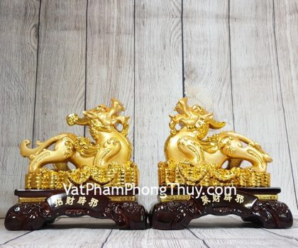 ln054-cap-ty-huu-vang-1