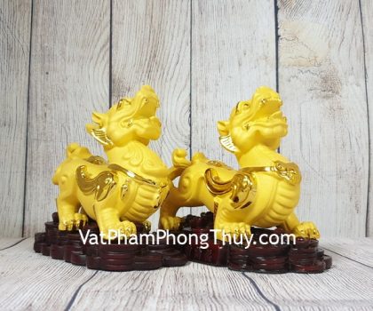 ln062-cap-ty-huu-sa-kim-2