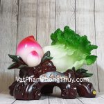 ln073-bap-cai-dao-tien