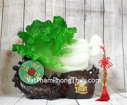 ln077-bap-cai-tui-tien-2