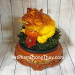 ln086-coc-luu-ly-sen