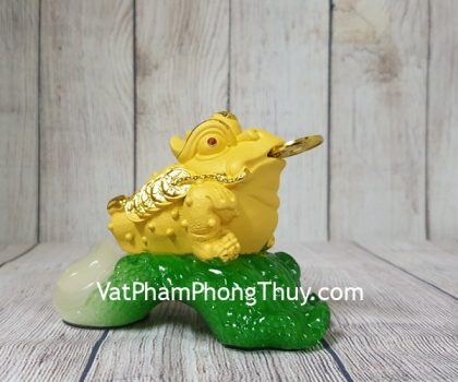 ln107-thiem-thu-kim-sa-be-cai