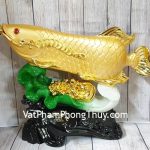 ln165-than-ca-kim-long-tren-be-cai-2