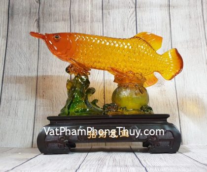 ln166-ca-kim-long-luu-ly-2