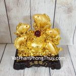 ln171-ngu-tien-ca-chep-1