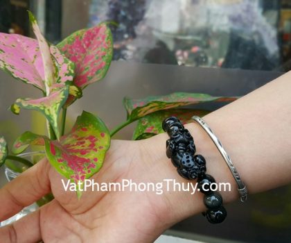 s6687-chuoi-ty-huu-hac-nga-nho