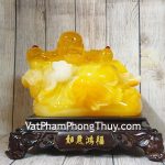 ln187-di-lac-cam-luu-ly-2