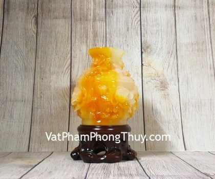 ln204-binh-cam-mau-don-2