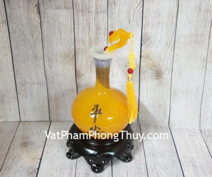 ln205-binh-cam-co-cao