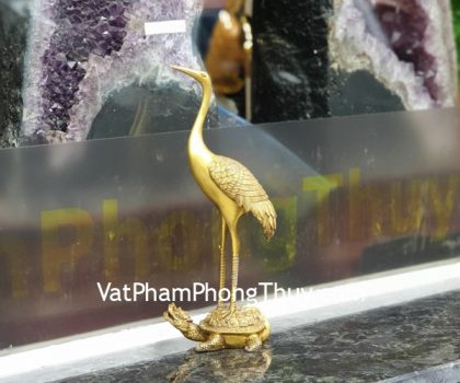 D285-hac-tren-lung-rua-1