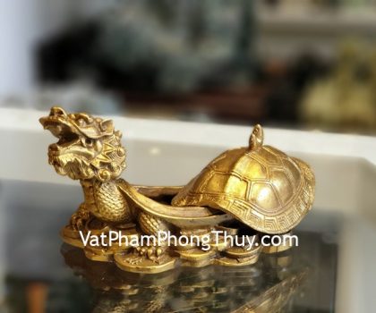 D288-long-quy-mai-nap-2