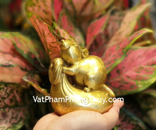 D294-chuot-dong-tui-tien-1