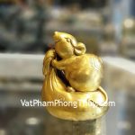 D294-chuot-dong-tui-tien-2