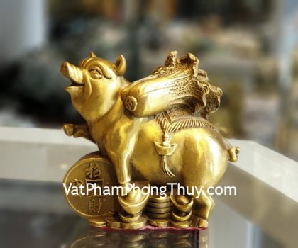 D300-heo-cong-cai-tren-tien-2