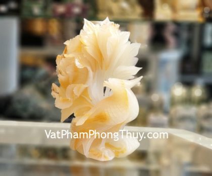 GM190-tuong-ngoc-da-sac-2