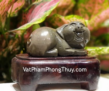 HTT01-6203-heo-tam-the