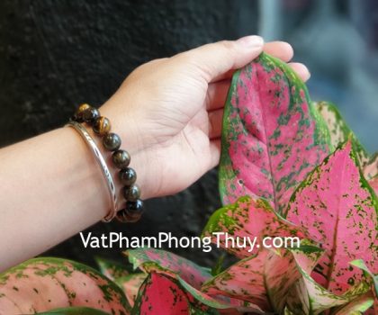 S6825-chuoi-mat-meo-den-xam-10li