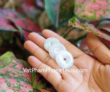 S833-mat-dong-tien-phi-thuy