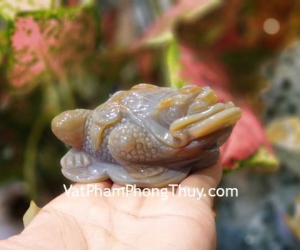 TT-NT-S3-1738-thiem-thu-ngoc-tuy-2