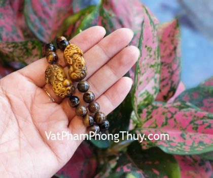 s6816-chuoi-ty-huu-mat-meo-1