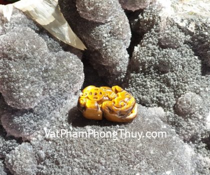 s6848-ty-huu-mat-meo-cong-tien-nho-2