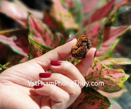 s6850-ty-huu-mat-meo-cong-tien-lon