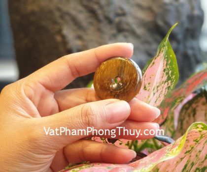 s6853-dong-tien-mat-meo-lon