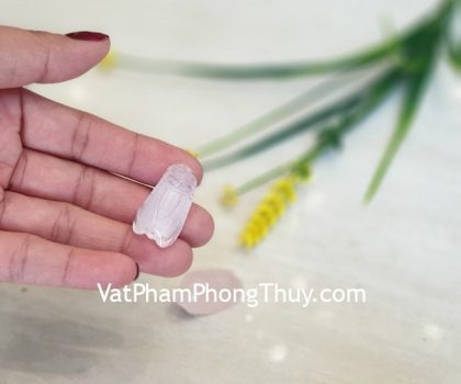 s6854-ve-thach-anh-hong-2