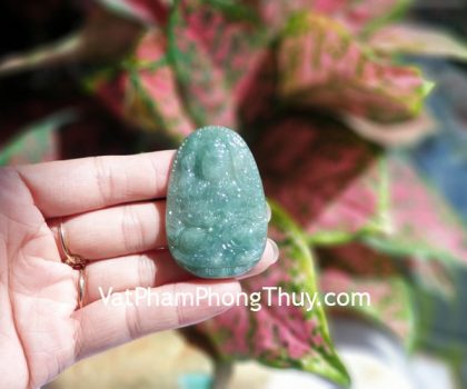 s6864-1-phat-ban-menh-phi-thuy-lon-1