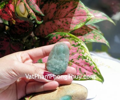 s6864-3-phat-ban-menh-phi-thuy-lon-mao-1