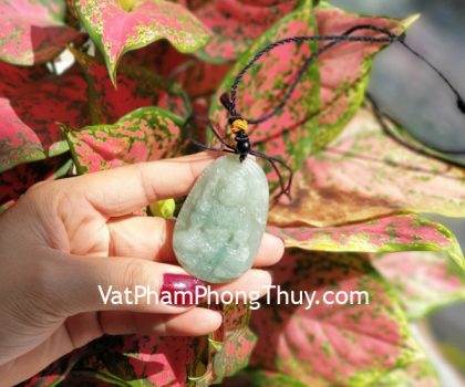 s6864-7-phat-ban-menh-phi-thuy-lon-dau-2