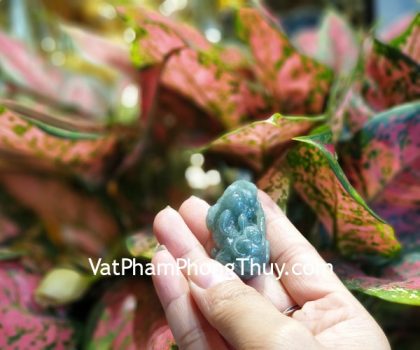 s6888-5336-ty-huu-cham-nhu-y