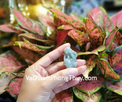 s6888-5510-ty-huu-cham-nhu-y