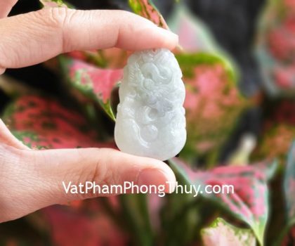 S6886-5-mat-con-giap-phi-thuy-THIN-2