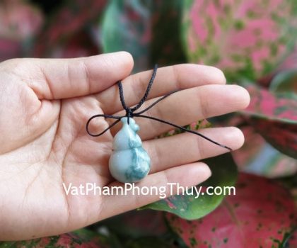 S6892-ho-lo-phi-thuy-1