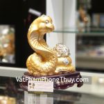 h431-ran-vang-tu-bao-2