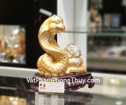 h431-ran-vang-tu-bao-2