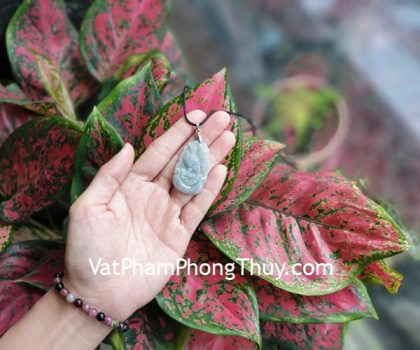 s6886-10-mat-con-giap-phi-thuy-DAU-2