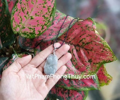 s6886-12-mat-con-giap-phi-thuy-HOI-2